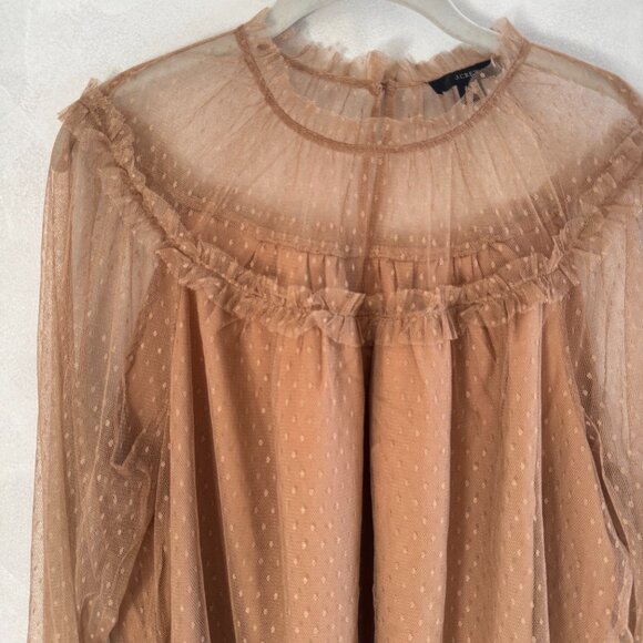 J. Crew - Sheer Tulle Ruffle Swiss Dot Blouse - Size Large - Picture 2 of 5